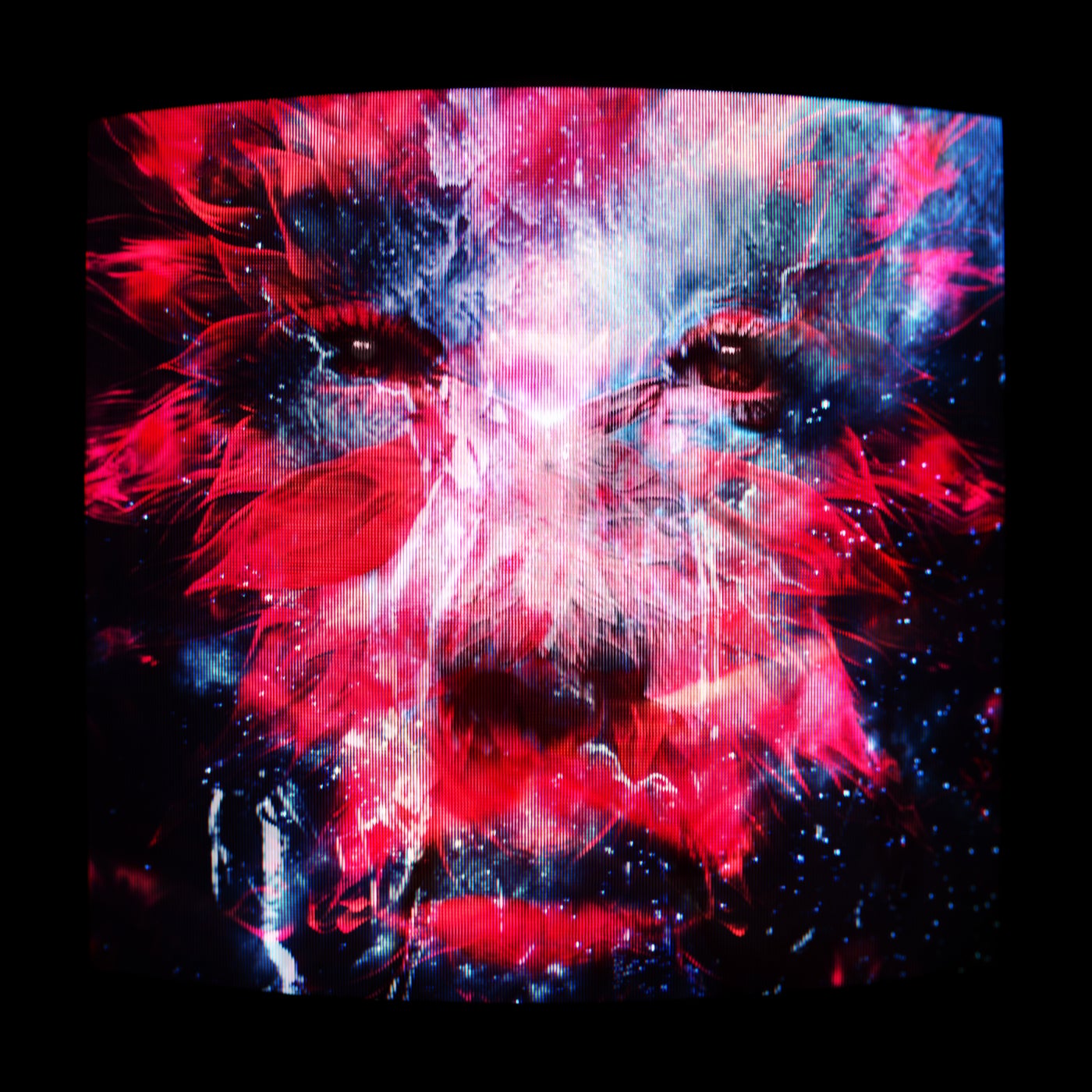 Cover - PNAU, Meduza - Rollin (Extended Mix)