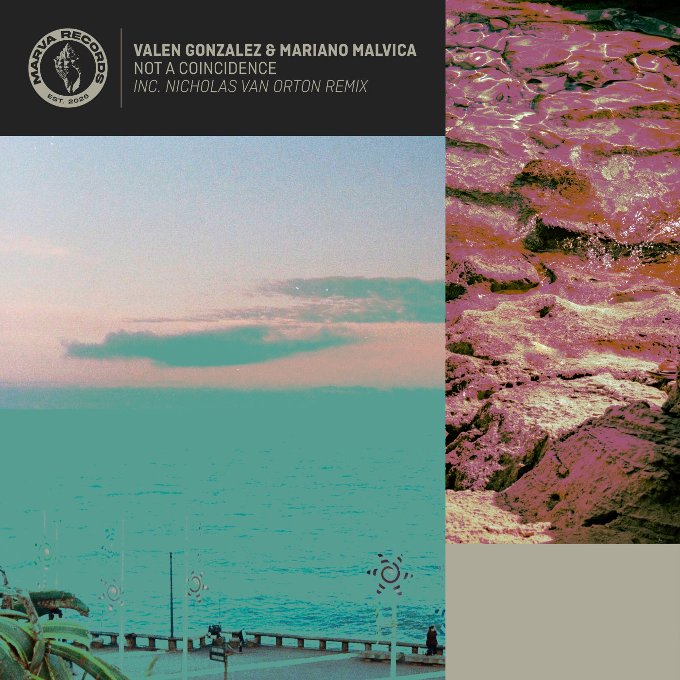 Cover - Valen Gonzalez, Mariano Malvica - Not a Coincidence (Original Mix)