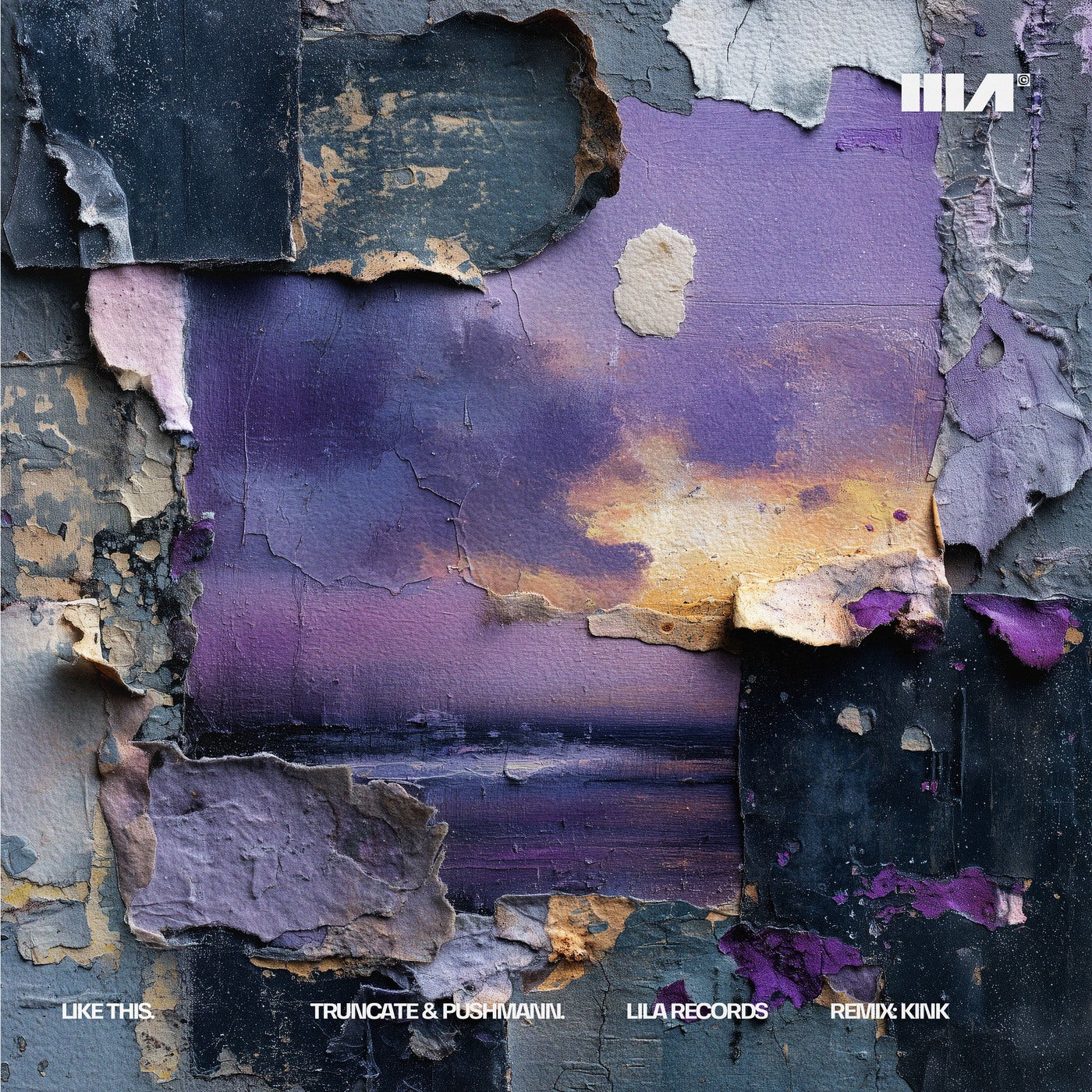 Cover - Truncate, PUSHMANN - Like This (Original Mix)