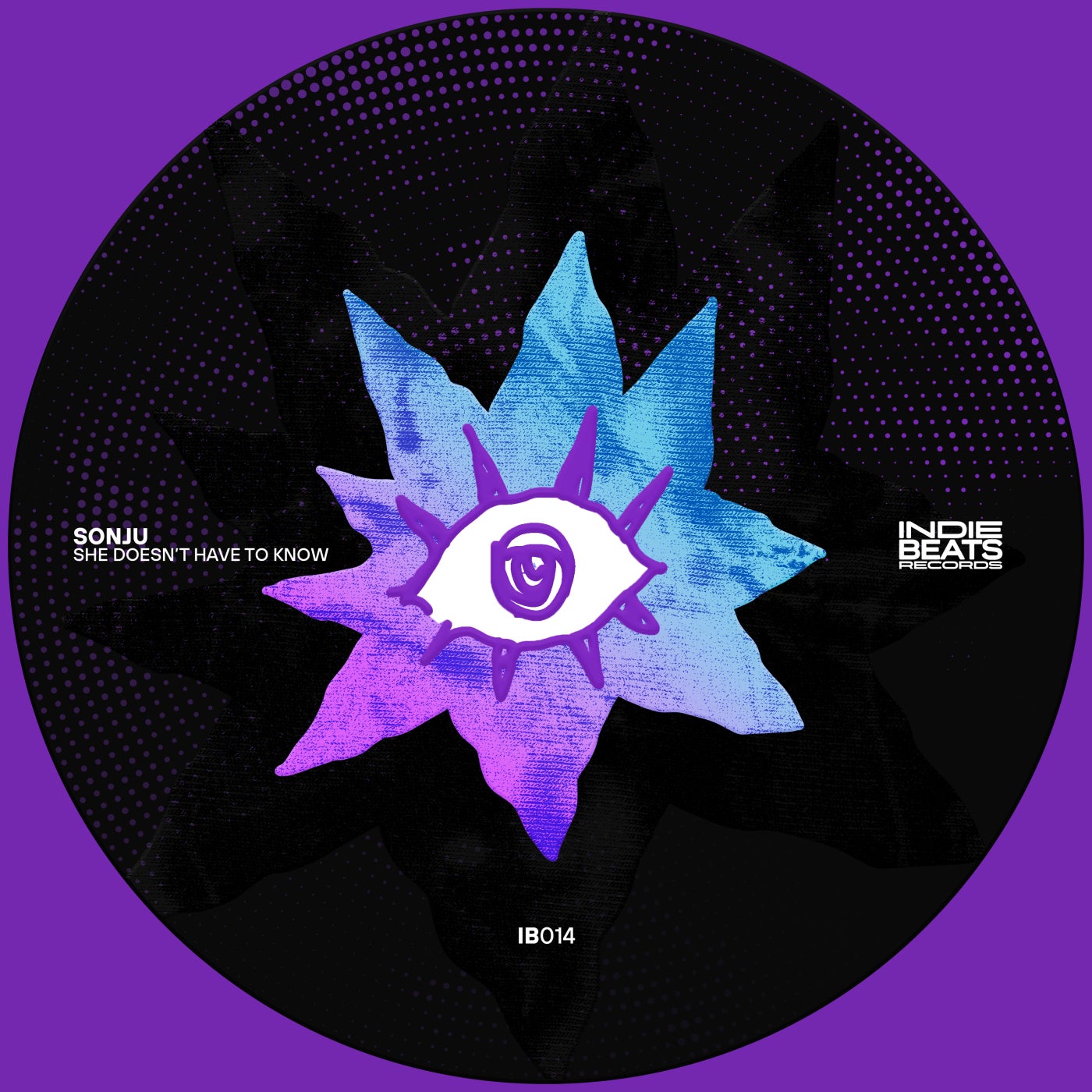 Cover - Sonju - She Wants Me but Im 16 (Extended Mix)