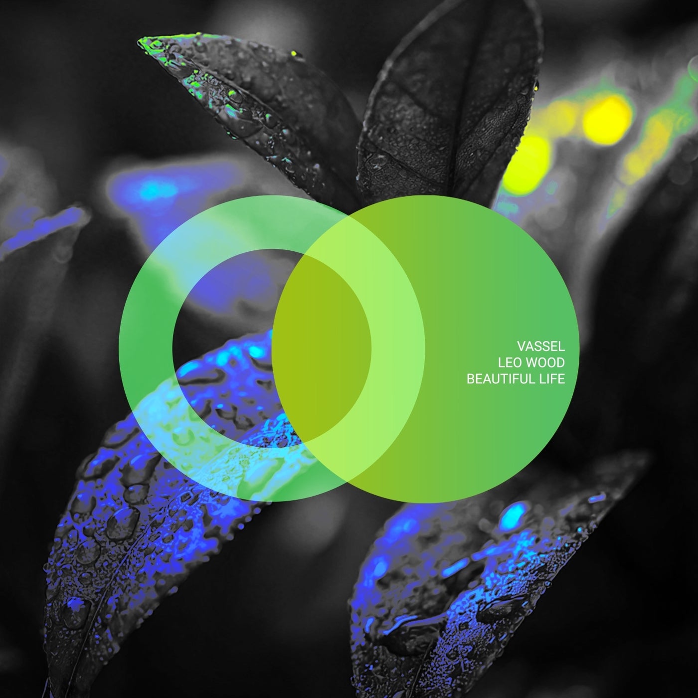 Cover - Leo Wood, Vassel - Beautiful Life (Original Mix)