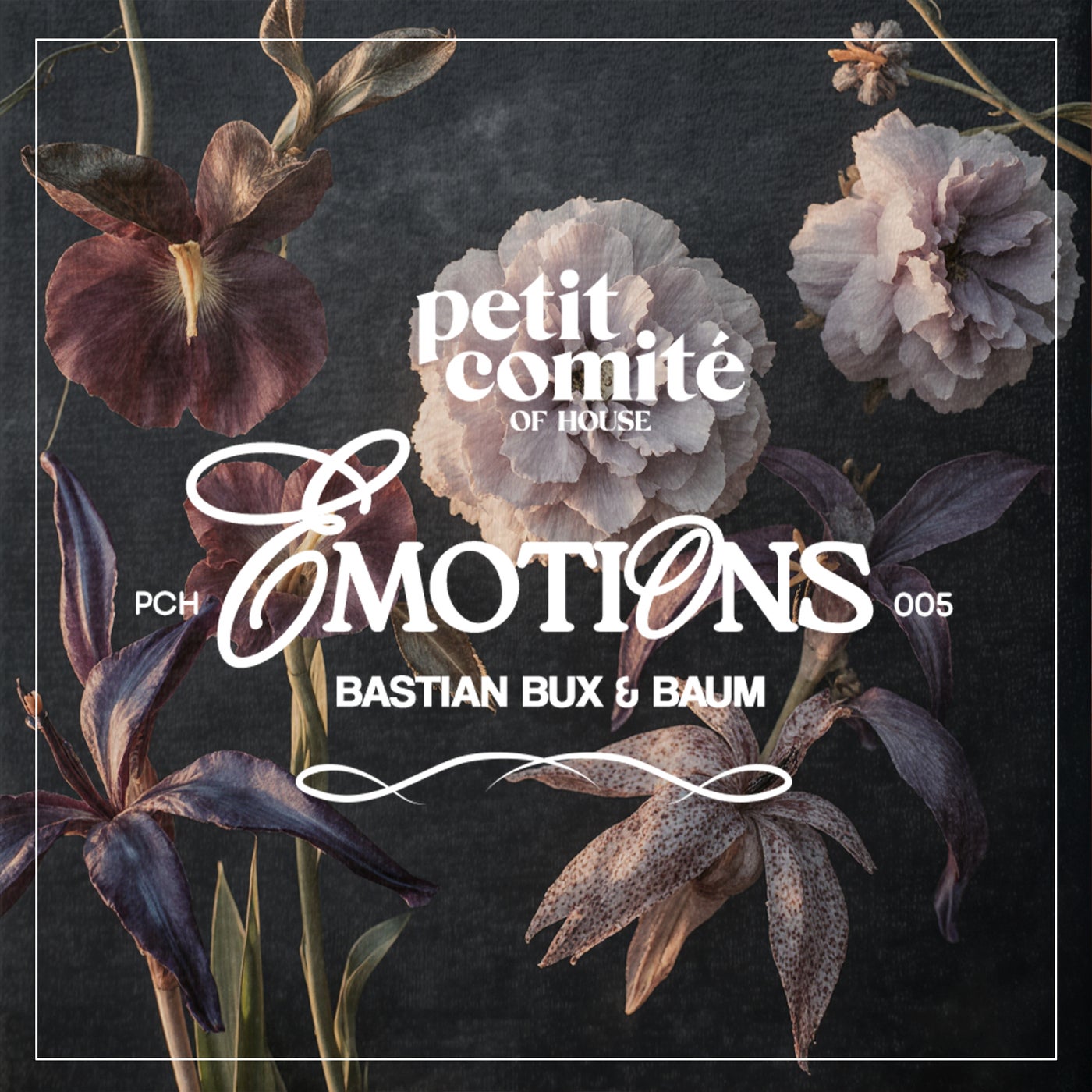 Cover - Baum, Bastian Bux - Emotions (Original Mix)