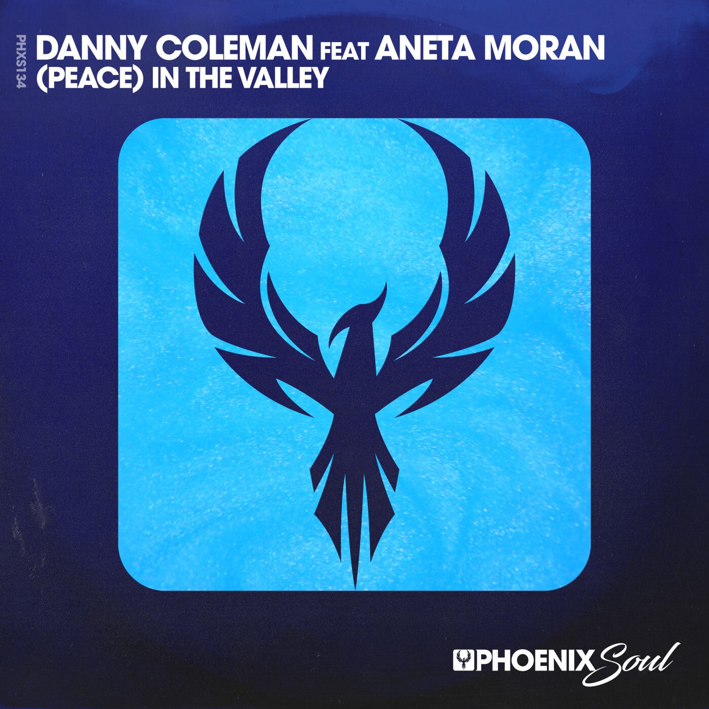 Cover - Danny Coleman - (Peace) In The Valley (feat. Aneta Moran) (Extended Mix)