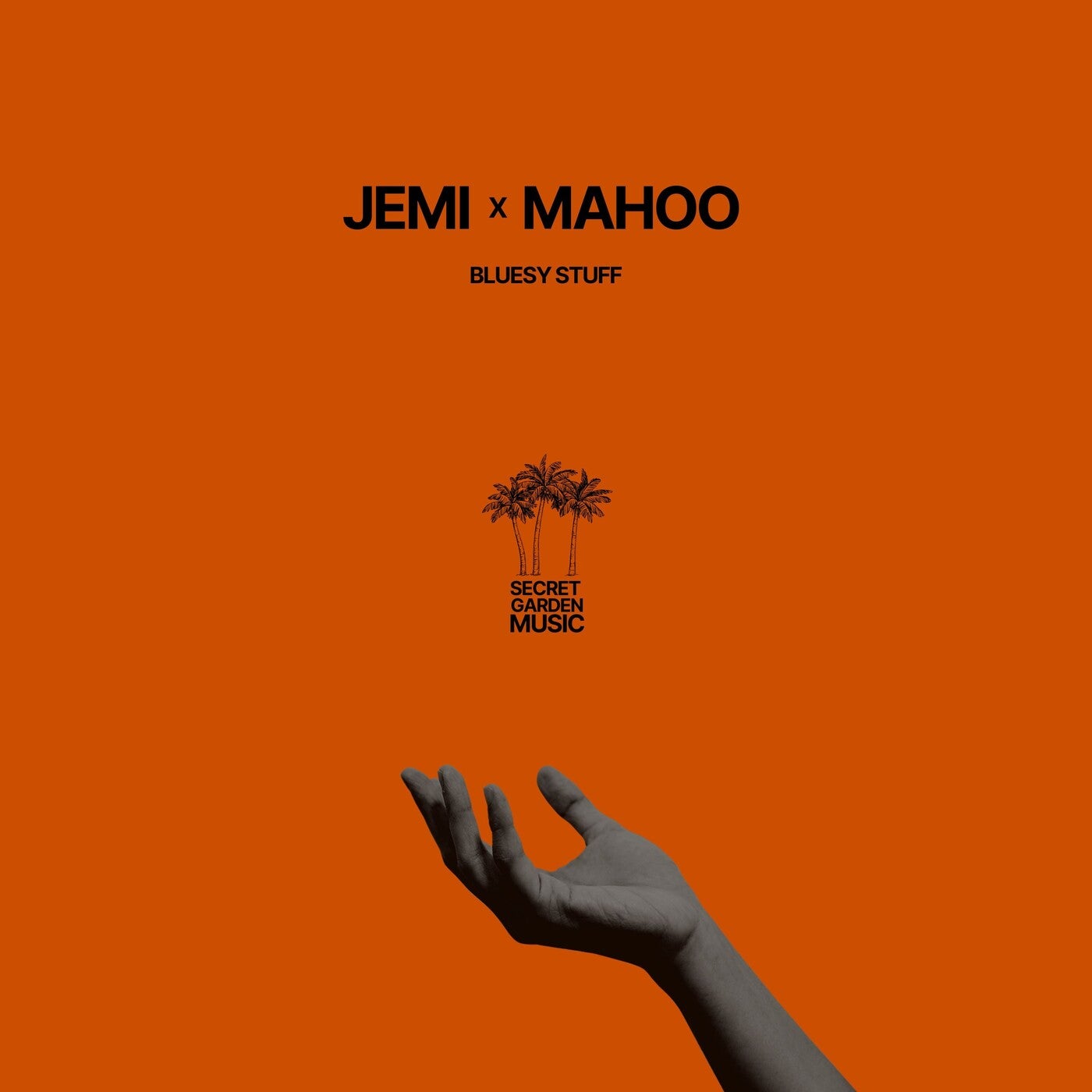 Cover - Jemi, Mahoo (CH) - Bluesy Stuff (Extended Mix)