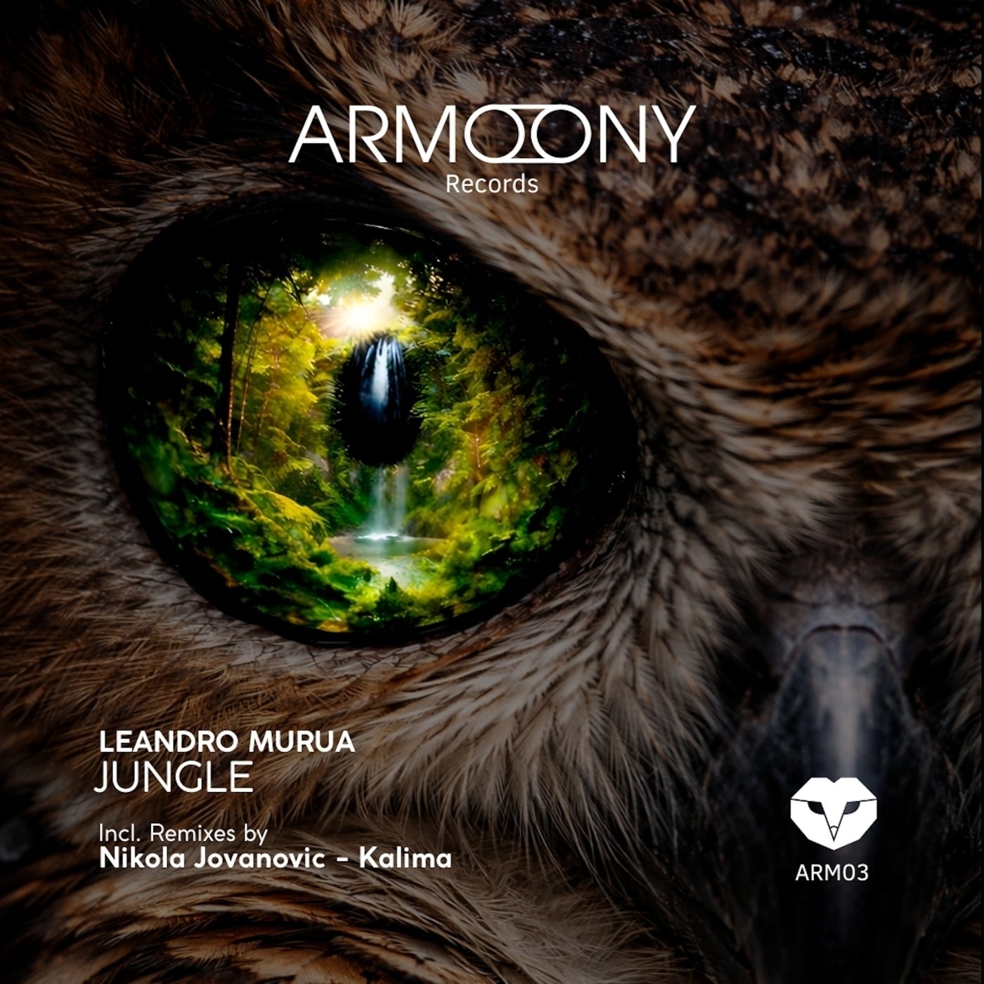 Cover - Leandro Murua - Jungle (Original Mix)