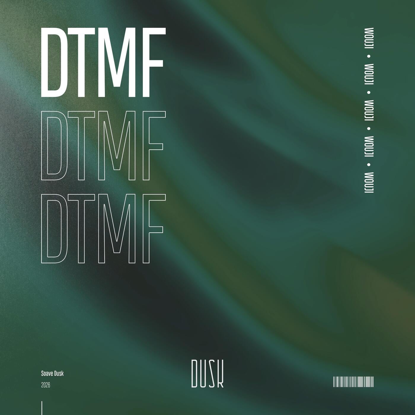 Cover - Wouji - DtMF (Extended Mix)