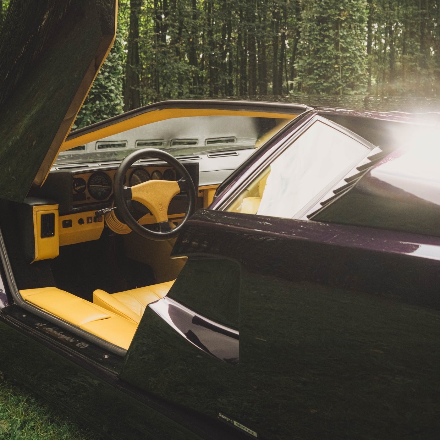 Cover - Lost Kings, Proppa - WANT U HERE (Original Mix)