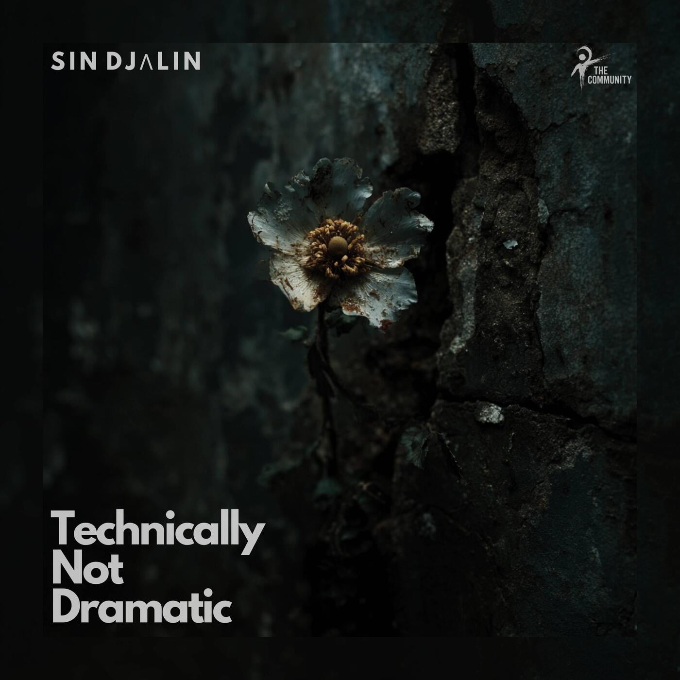 Cover - Sin Djalin - Technically Not Dramatic (Original Mix)