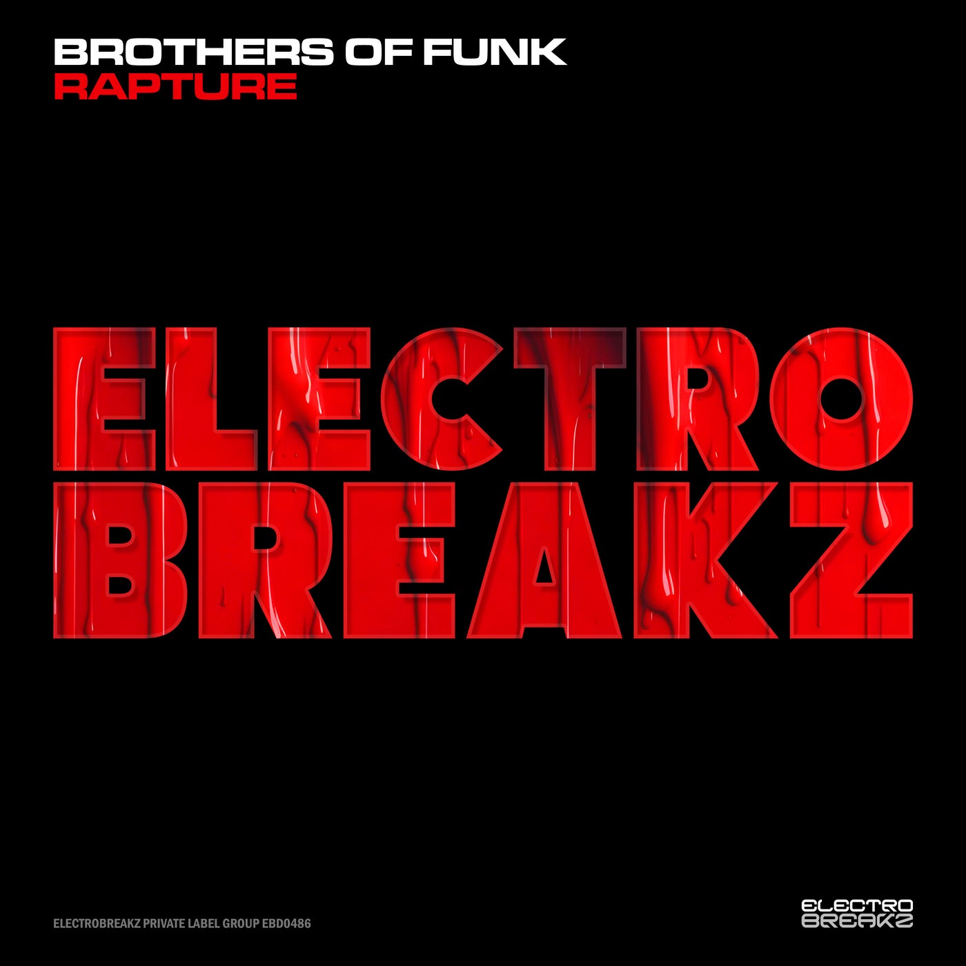 Cover - Brothers Of Funk - Rapture (Original Mix)