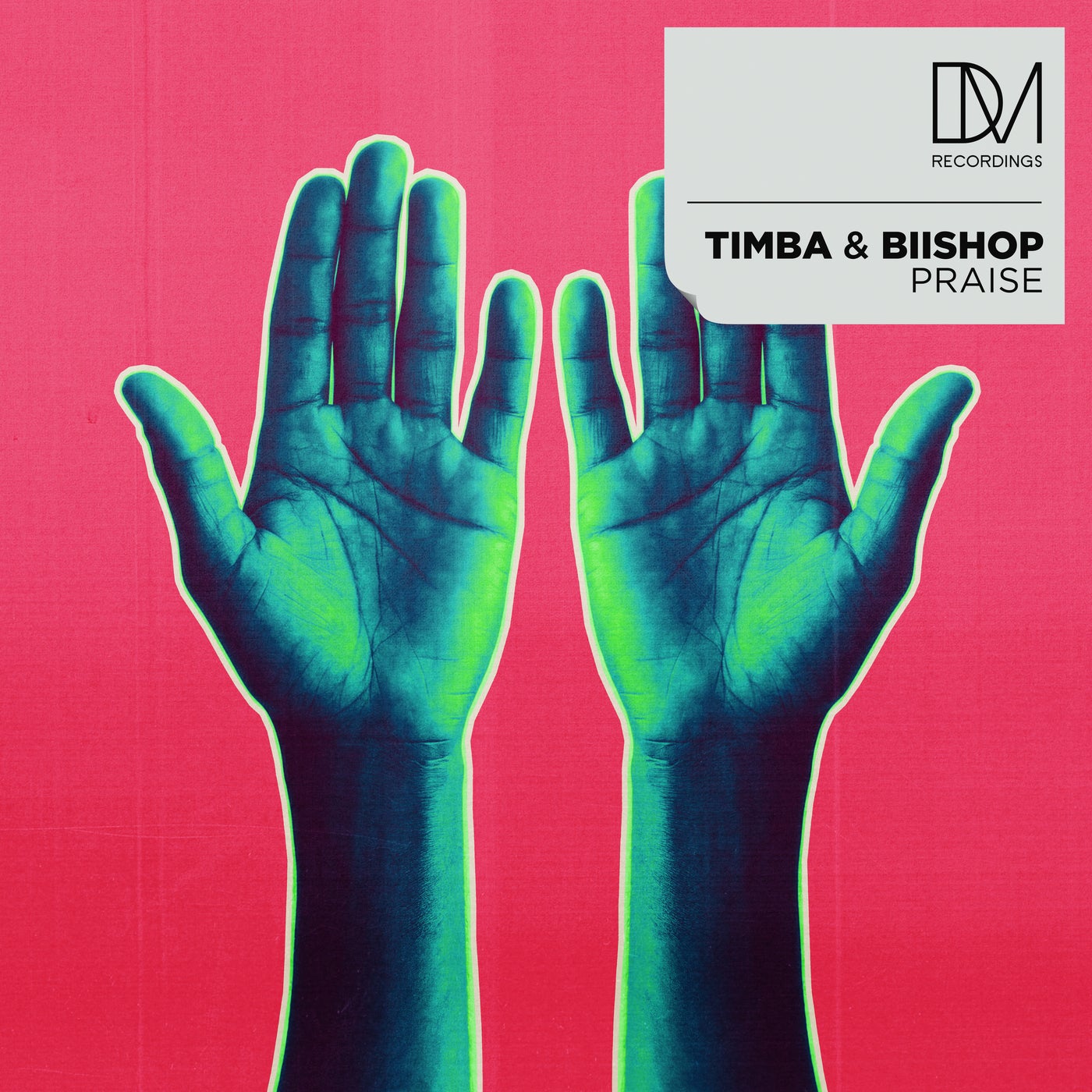 Cover - Biishop, Wilson Timba - Praise (Extended)