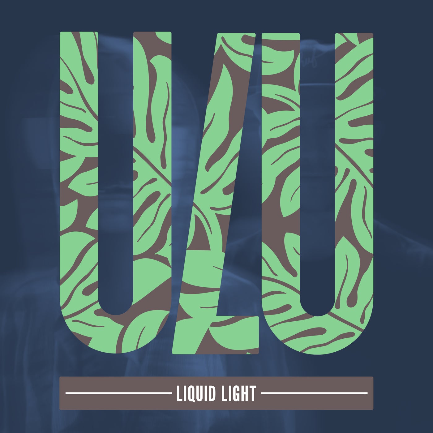 Cover - David Mayer, Hyenah - Liquid Light (Original Mix)