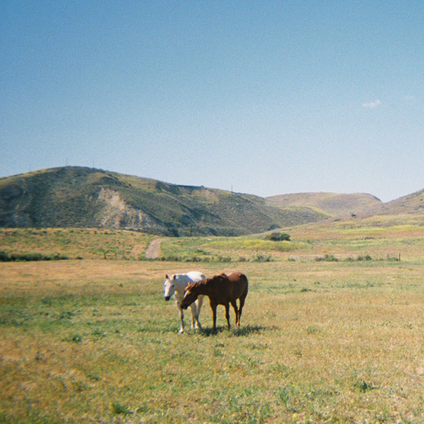 Cover - Eva, Justin Jay - Do I Like You Like That? (Original Mix)