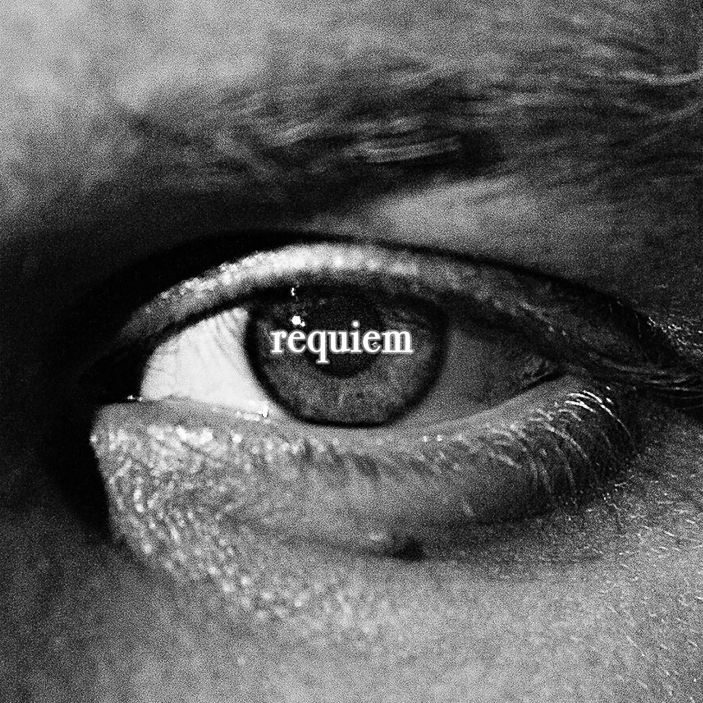 Cover - Elohim, Cozy Kev - REQUIEM (Original Mix)