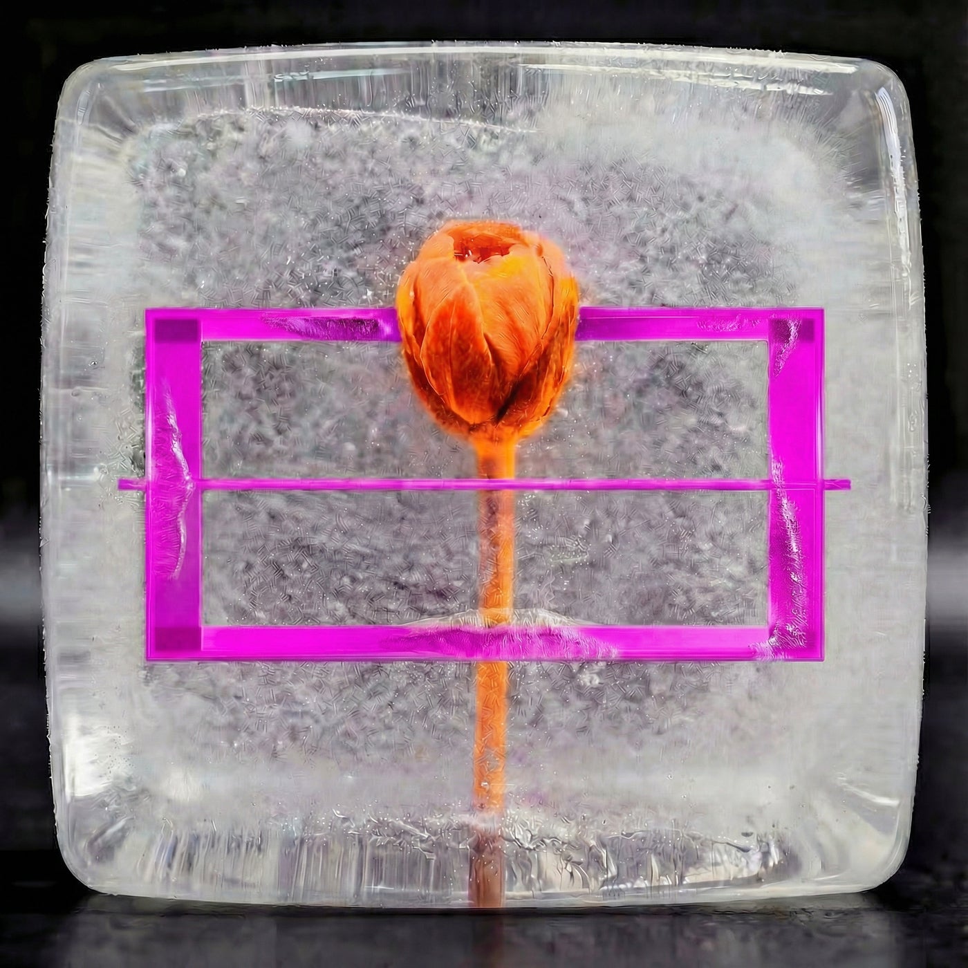 Cover - Derbart - Square Wheels (Original Mix)