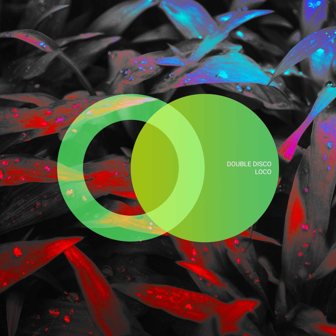 Cover - Double Disco - Bang (Original Mix)