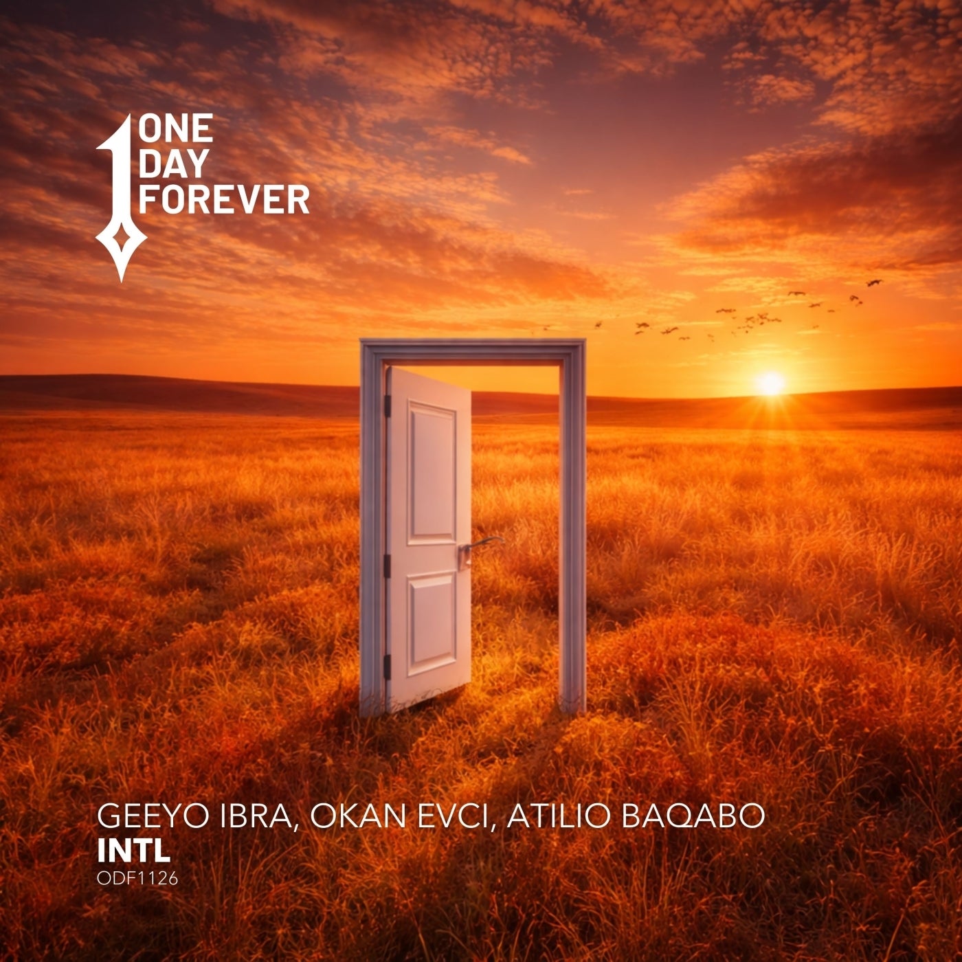 Cover - Geeyo Ibra, Okan Evci, Atilio Baqabo - Intl (Club Mix)