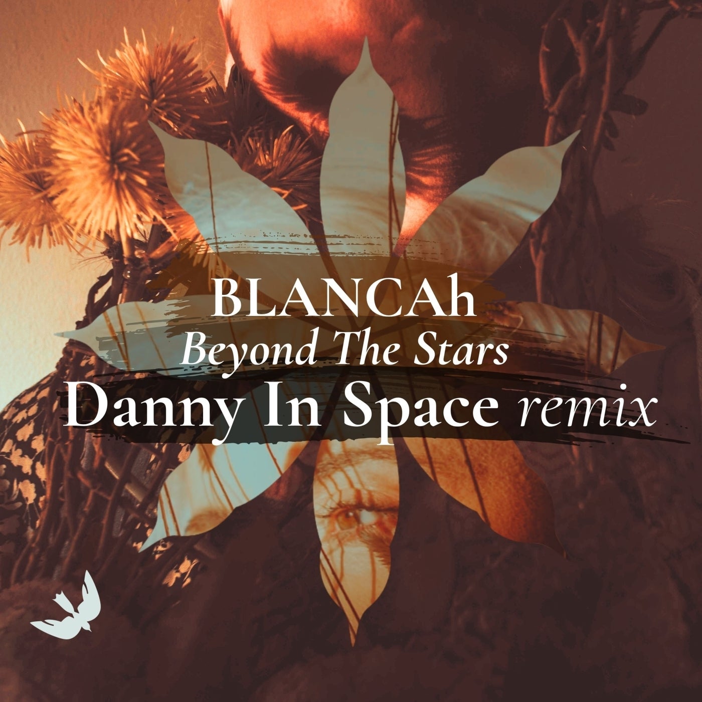 Cover - Blancah - Beyond the Stars (Danny In Space (Remix))