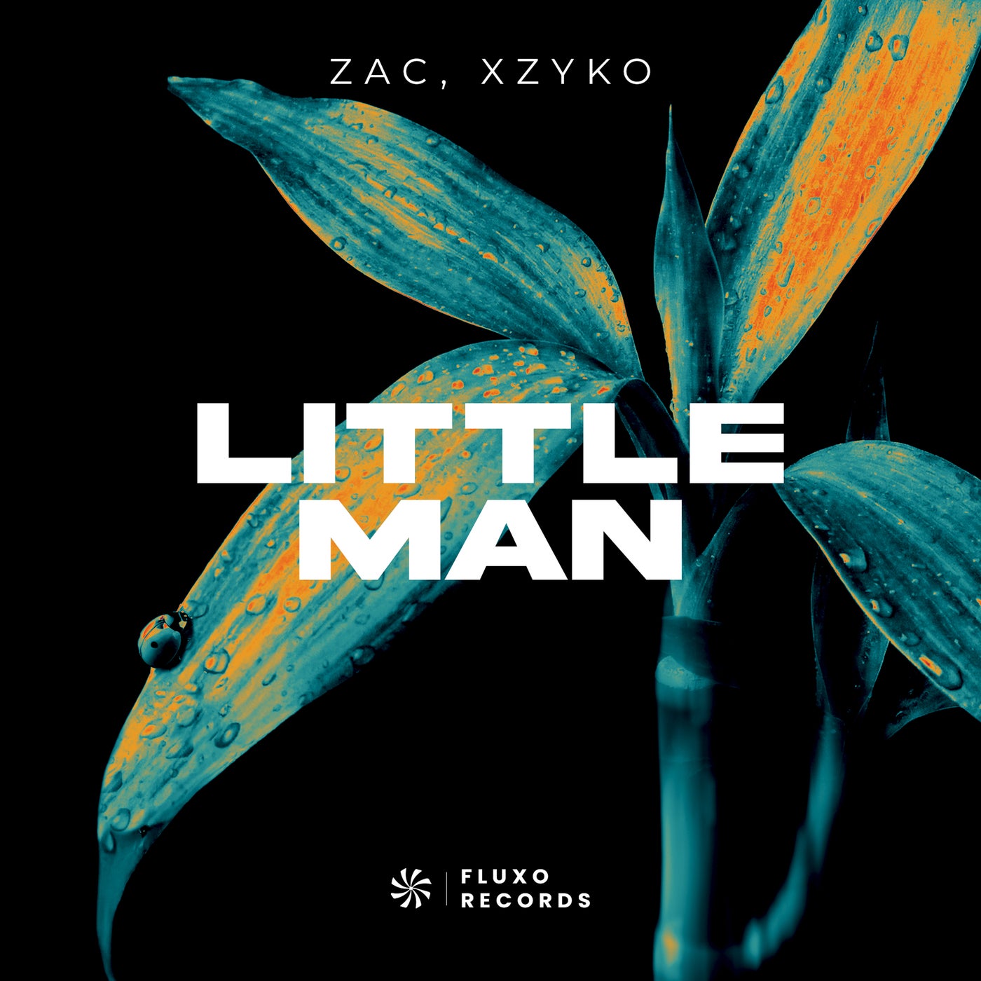 Cover - Zac, Xzyko - Little Man (Extended Mix)