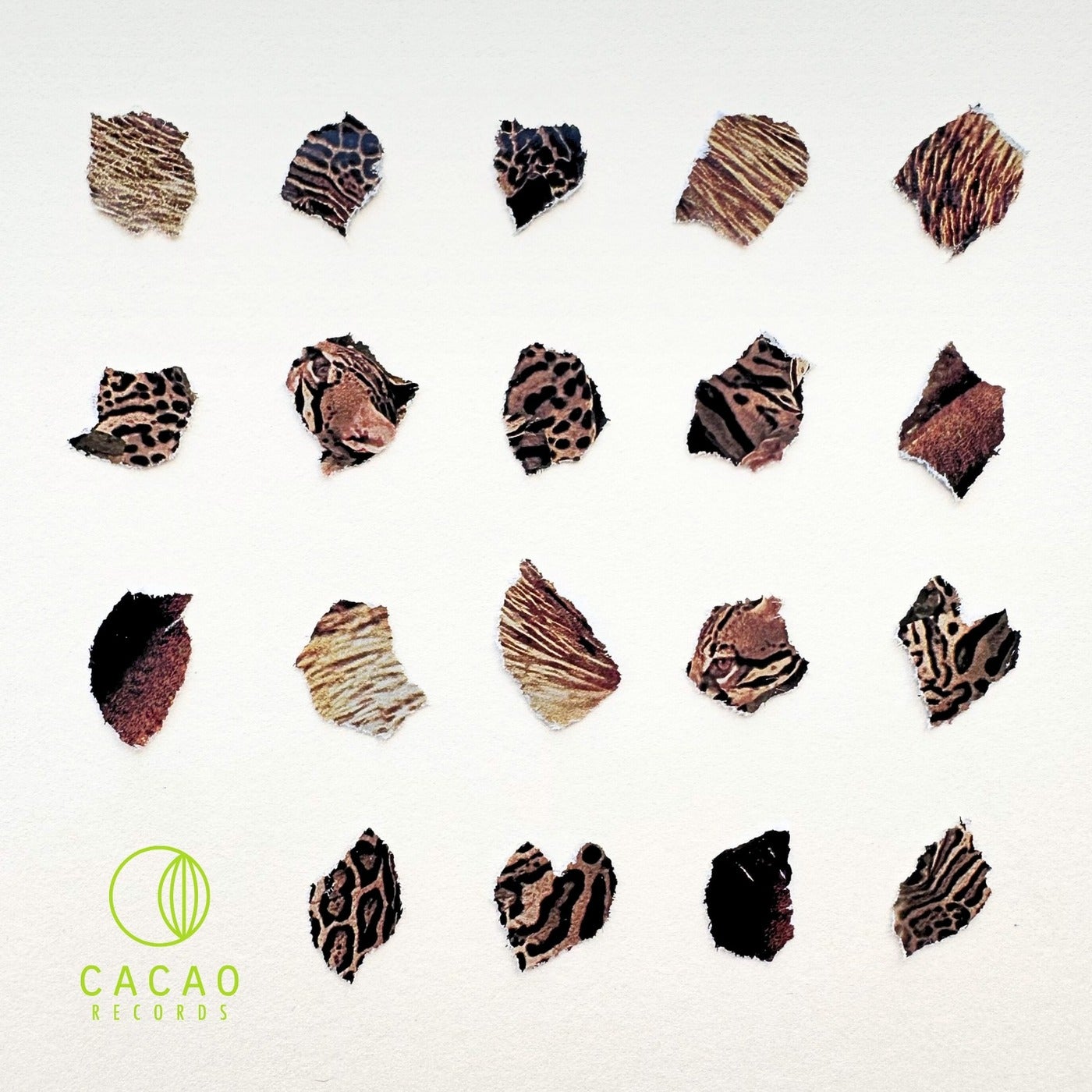 Cover - Leo Leonski, Shoao - Acid Gato (Original Mix)