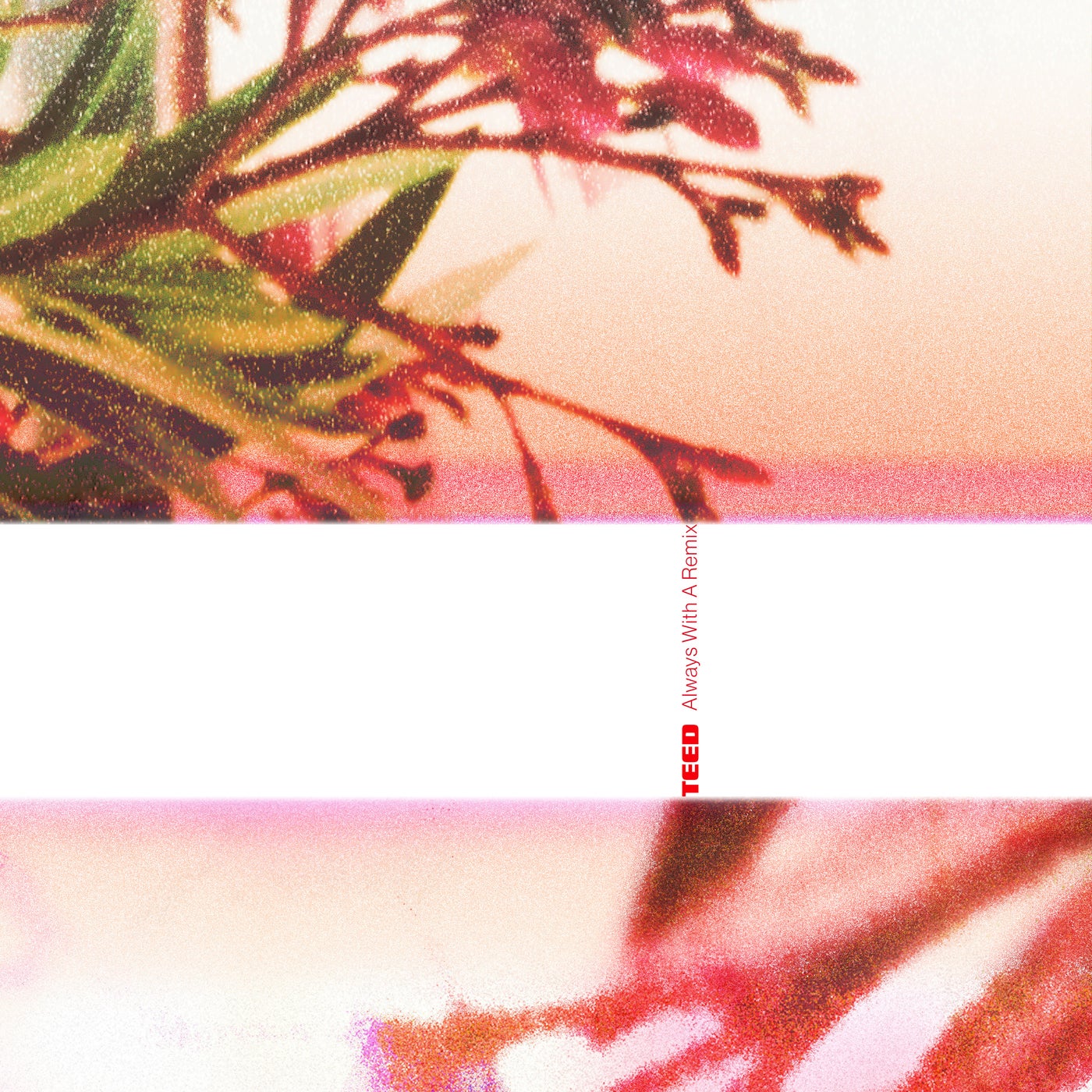 Cover - TEED, Eagles & Butterflies - Desire (Eagles & Butterflies Remix)