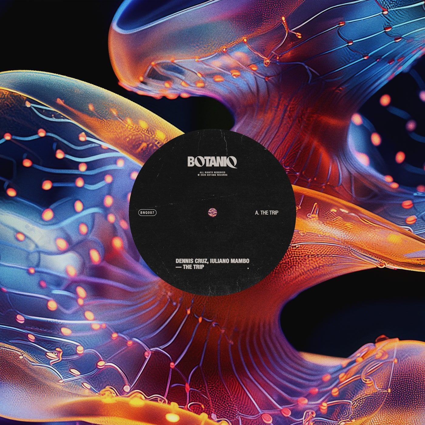 Cover - Dennis Cruz, Iuliano Mambo - The Trip (Original Mix)