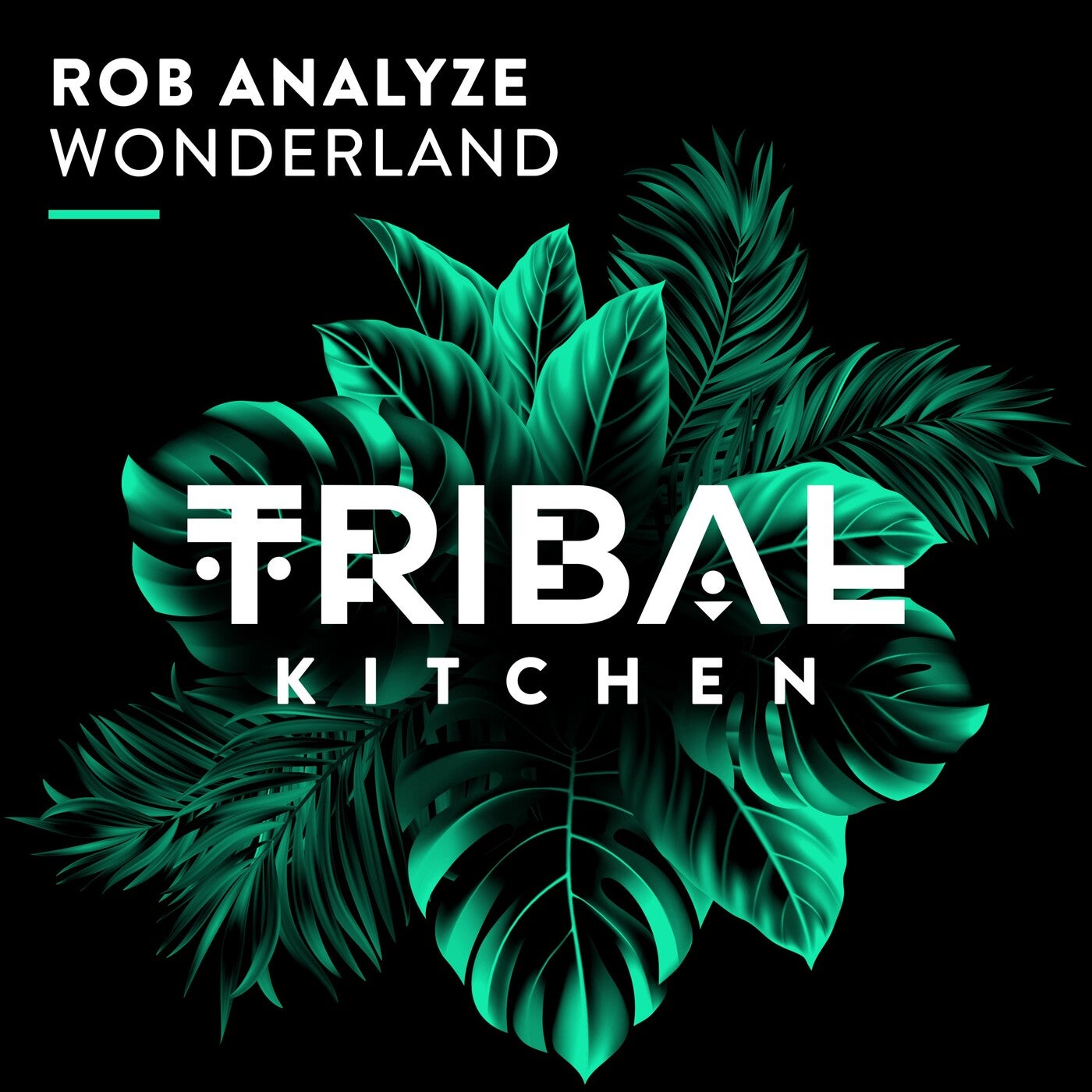 Cover - Rob Analyze - Wonderland (Extended Mix) Promo tools