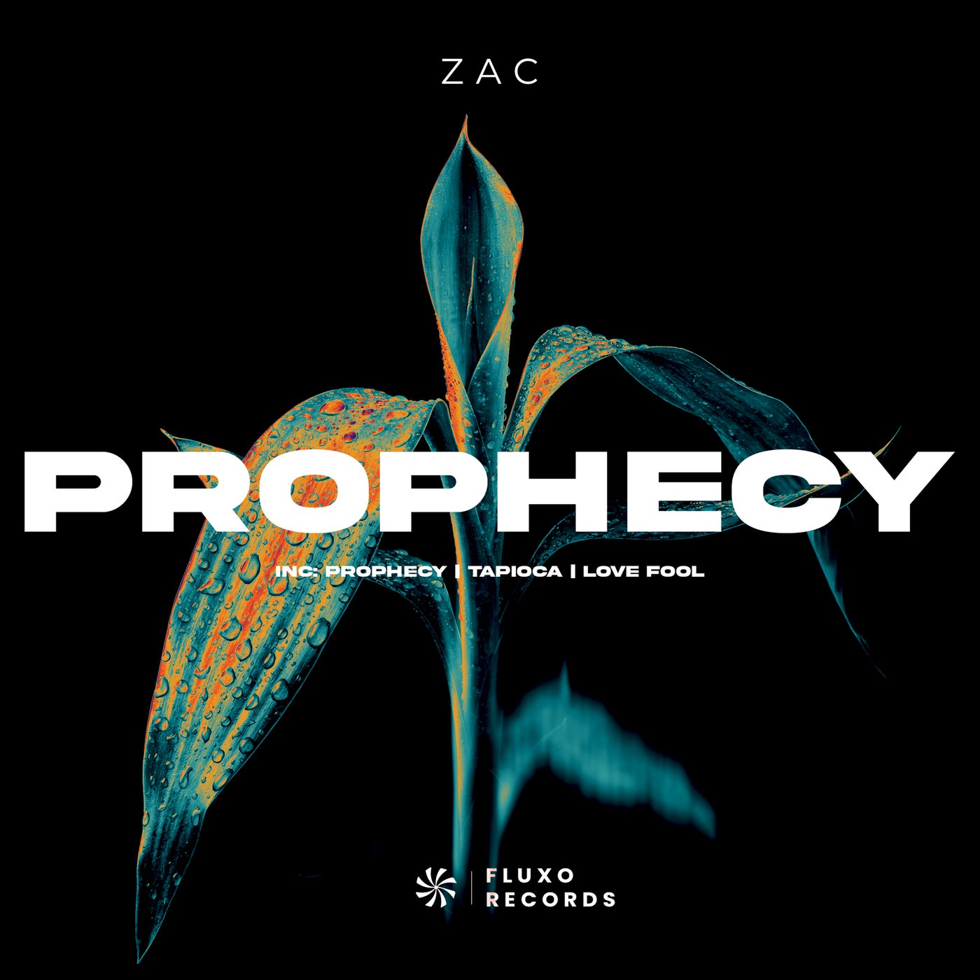 Cover - Zac - Prophecy (Extended Mix) Promo tools