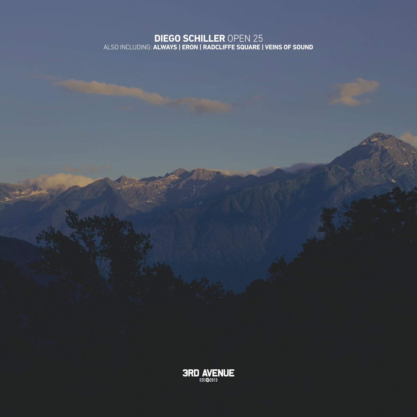 Cover - Diego Schiller - Veins of Sound (Original Mix) Promo tools
