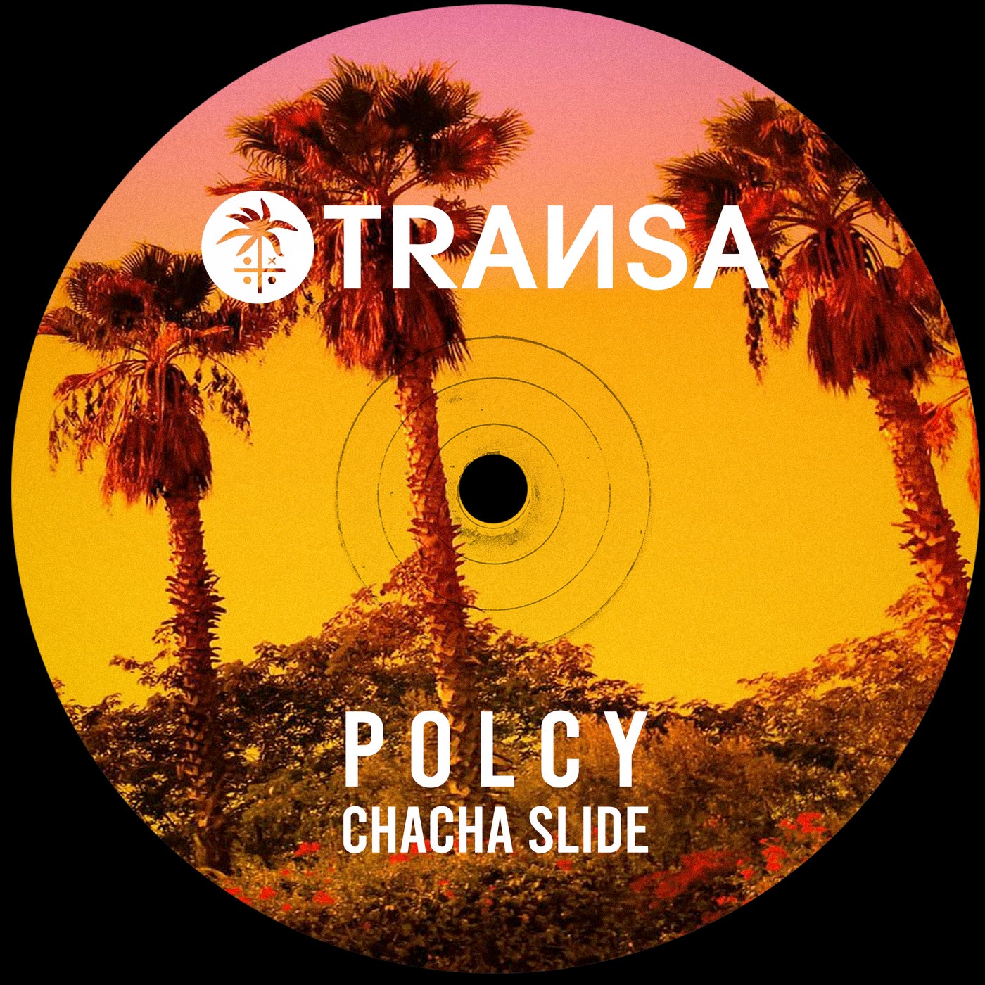 Cover - Polcy - ChaCha Slide (Extended Mix) Promo tools