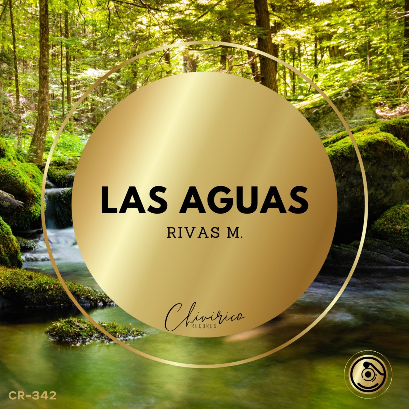 Cover - Rivas M - Las Aguas (Original Mix) Promo tools