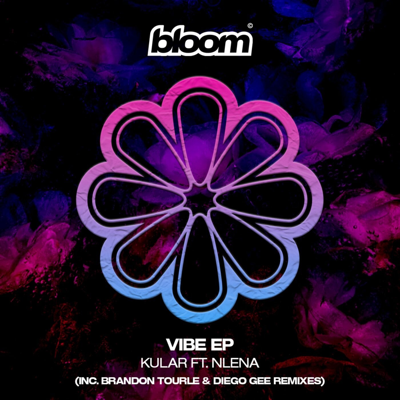 Cover - NLENA, Kular - Vibe (Brandon Tourle Remix) Promo tools