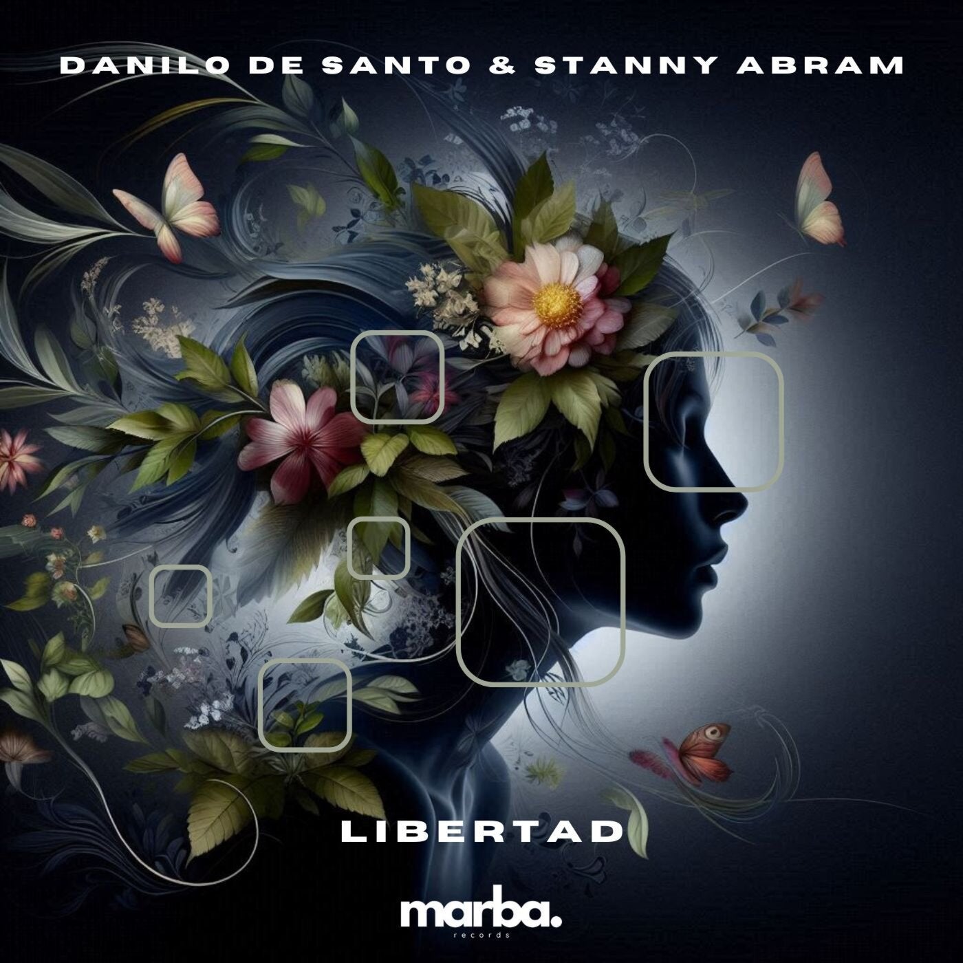 Cover - Stanny Abram, Danilo De Santo - Libertad (Original Mix) Promo tools