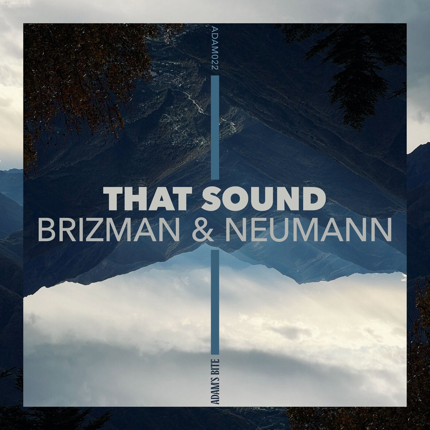 Cover - Tobi Neumann, Tris, Brizman, Brizman & Neumann - That Sound feat. Tris (Original Mix) Promo tools