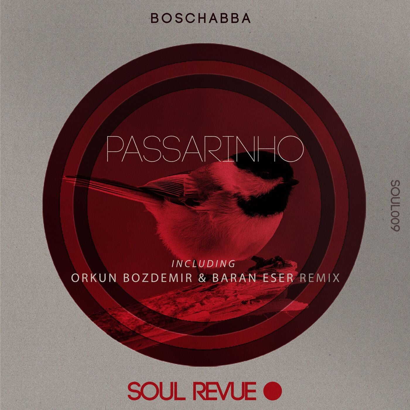 Cover - Boschabba - Passarinho (Orkun Bozdemir & Baran Eser Remix) Promo tools