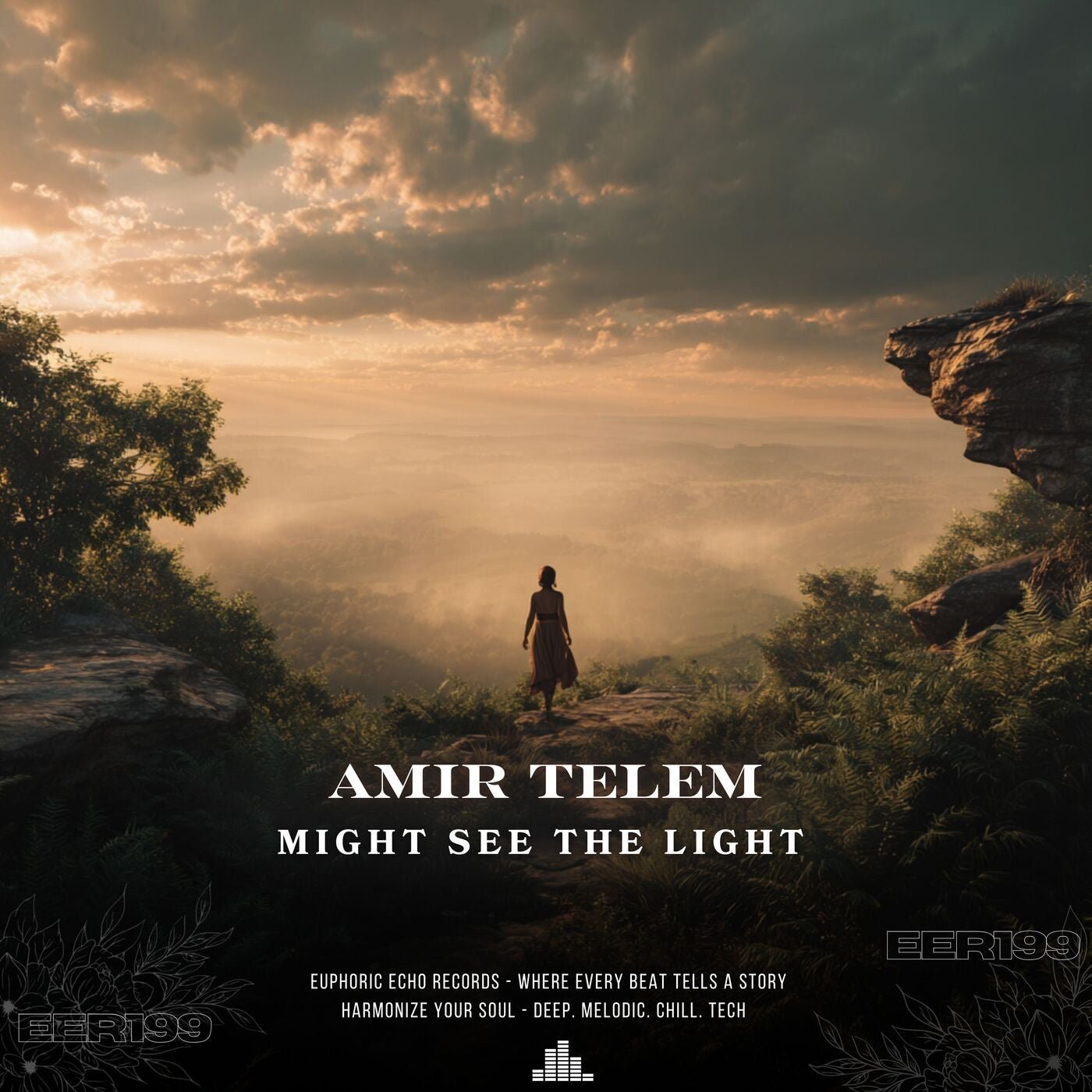 Cover - Amir Telem - Might See the Light (Original Mix) Promo tools