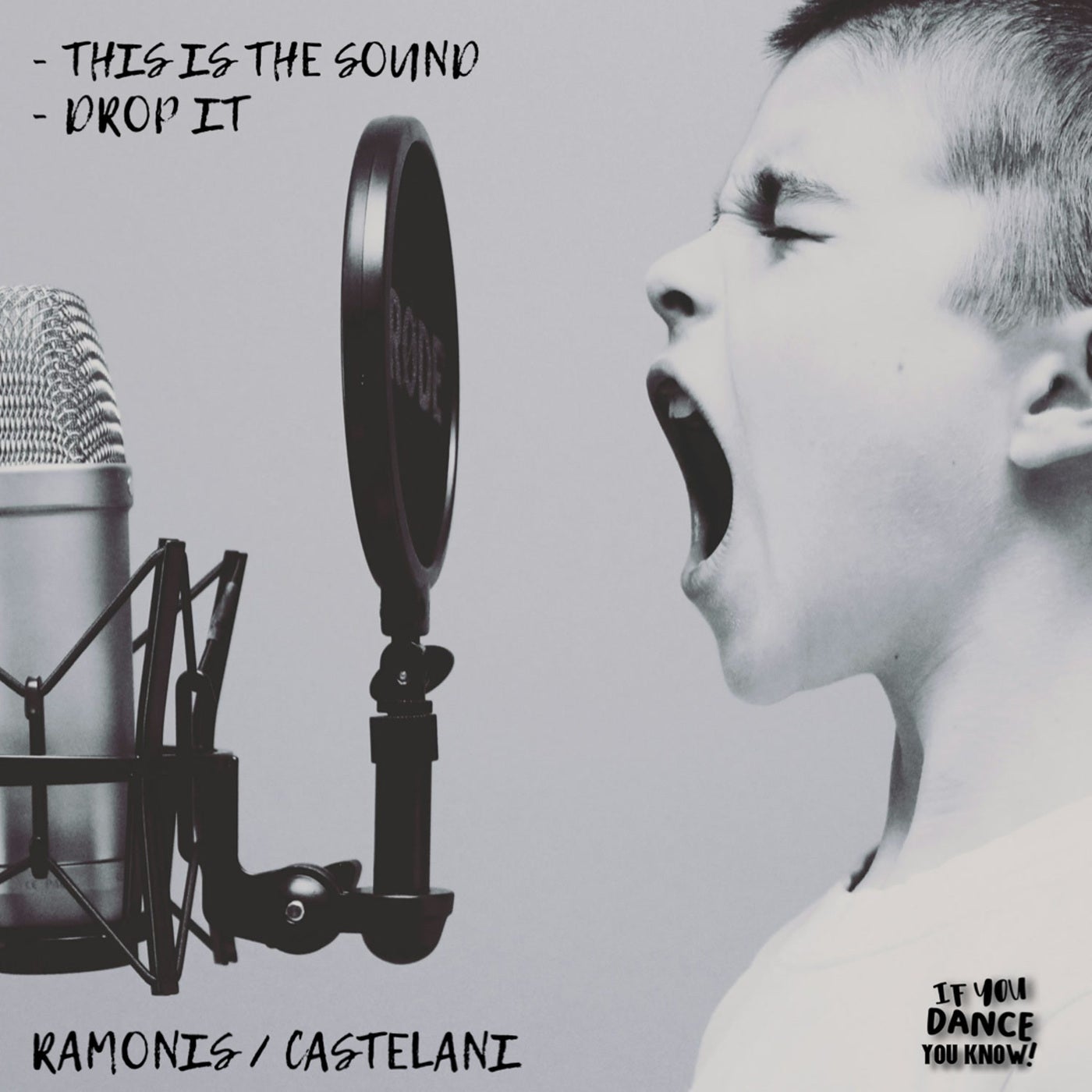 Cover - Castelani, Ramonis Campelo - This Is The Sound (Original Mix) Promo tools