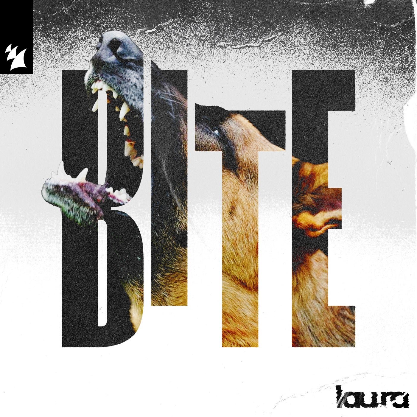 Cover - lau.ra - Bite (Extended Mix) Promo tools