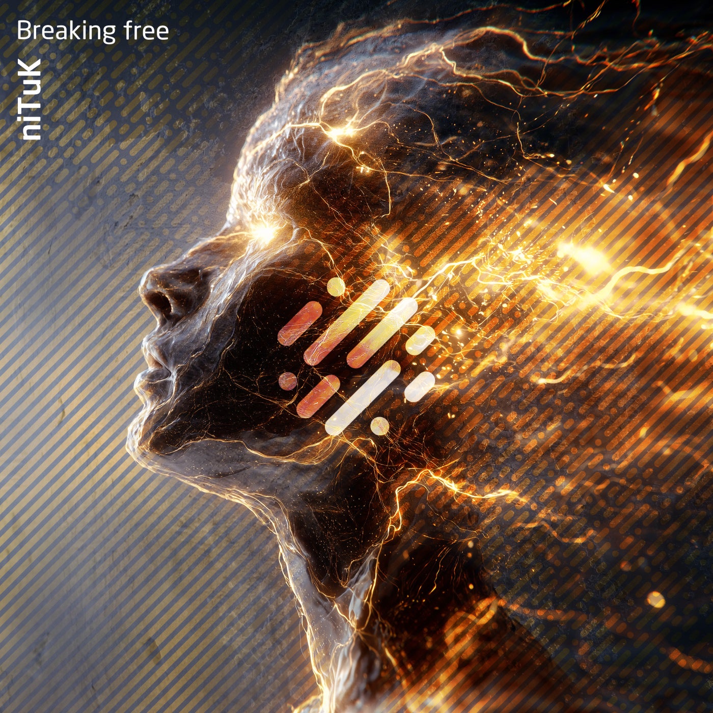 Cover - niTuk - Breaking Free (Original Mix) Promo tools