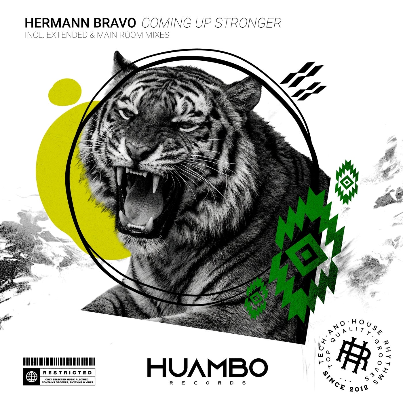 Cover - Hermann Bravo - Coming up Stronger (Extended Mix) Promo tools