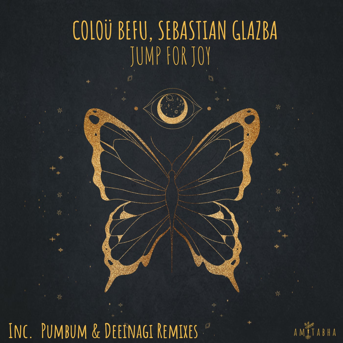 Cover - Sebastian Glazba, Coloü Befu - Hunch (Pumbum Remix) Promo tools