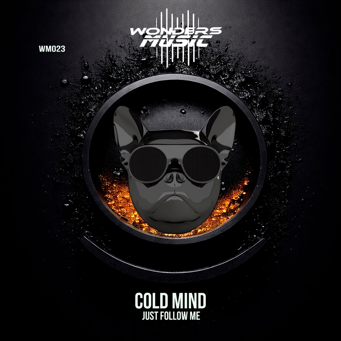 Cover - Cold Mind - Just Follow Me (Extended Mix) Promo tools