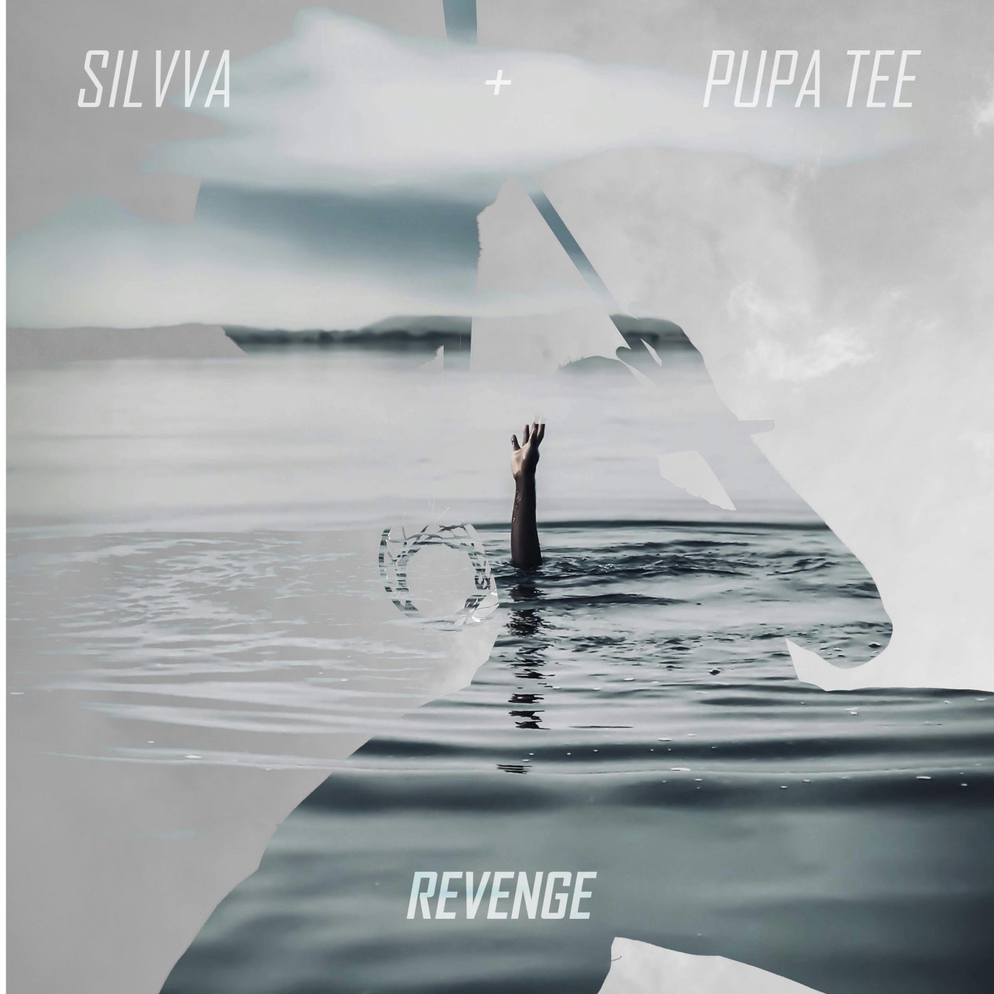 Cover - Silvva, Pupa Tee - Revenge (Extended Mix) Promo tools