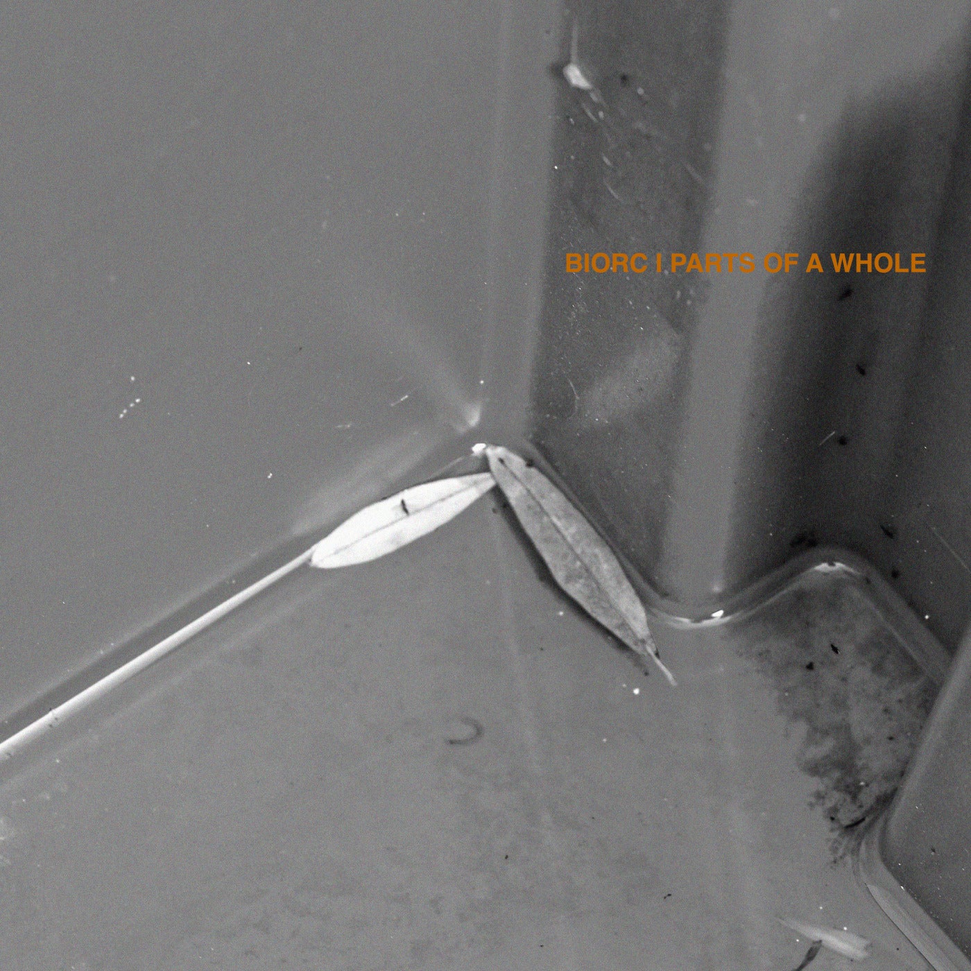 Cover - Biorc - Contidioned Response (Original Mix) Promo tools