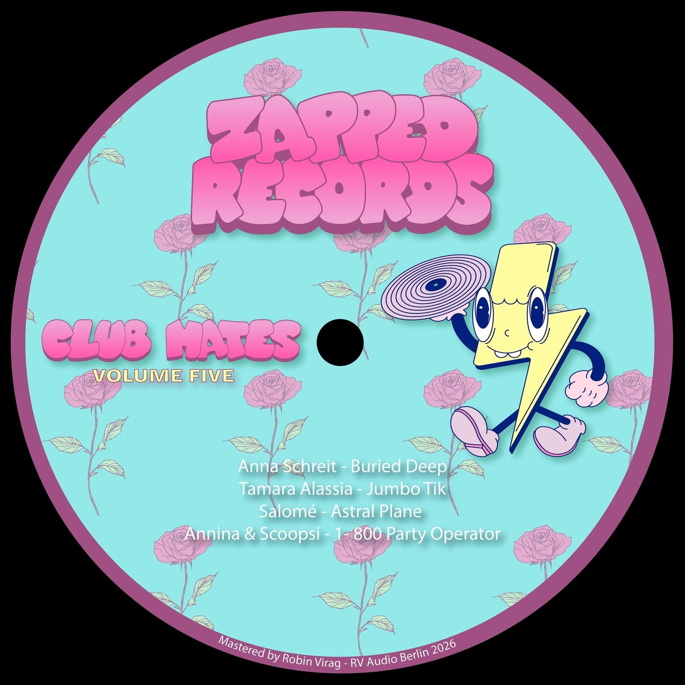 Cover - Annina, Scoopsi - 1-800 Party Operator (Original Mix) Promo tools