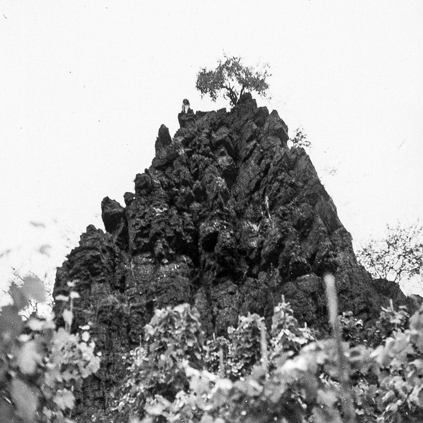 Cover - Ben Kaczor, Kat Davids - Baby I know what you want (Ben Kaczor Remix) Promo tools