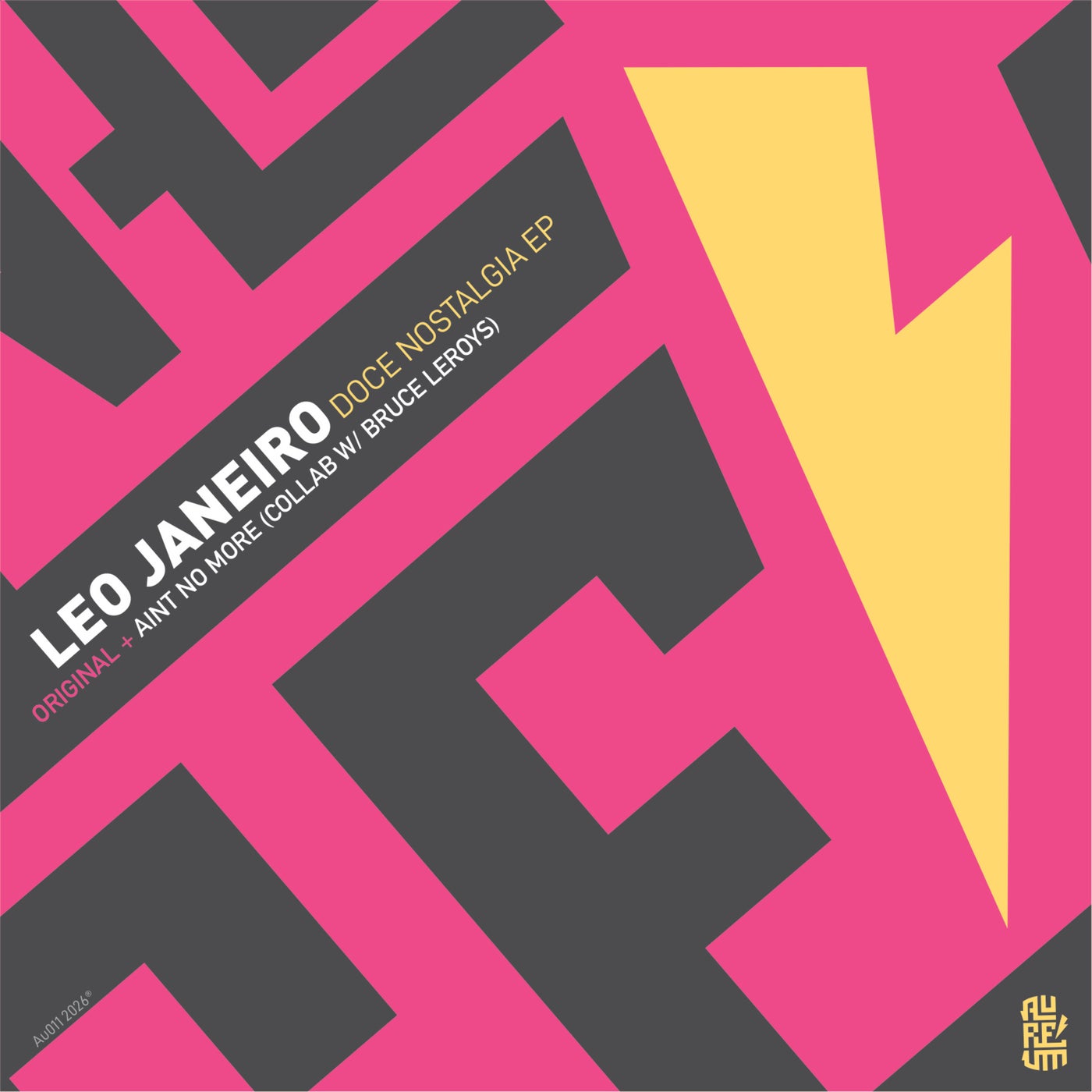 Cover - Leo Janeiro, Bruce Leroys - Ain't No More (Original Mix) Promo tools