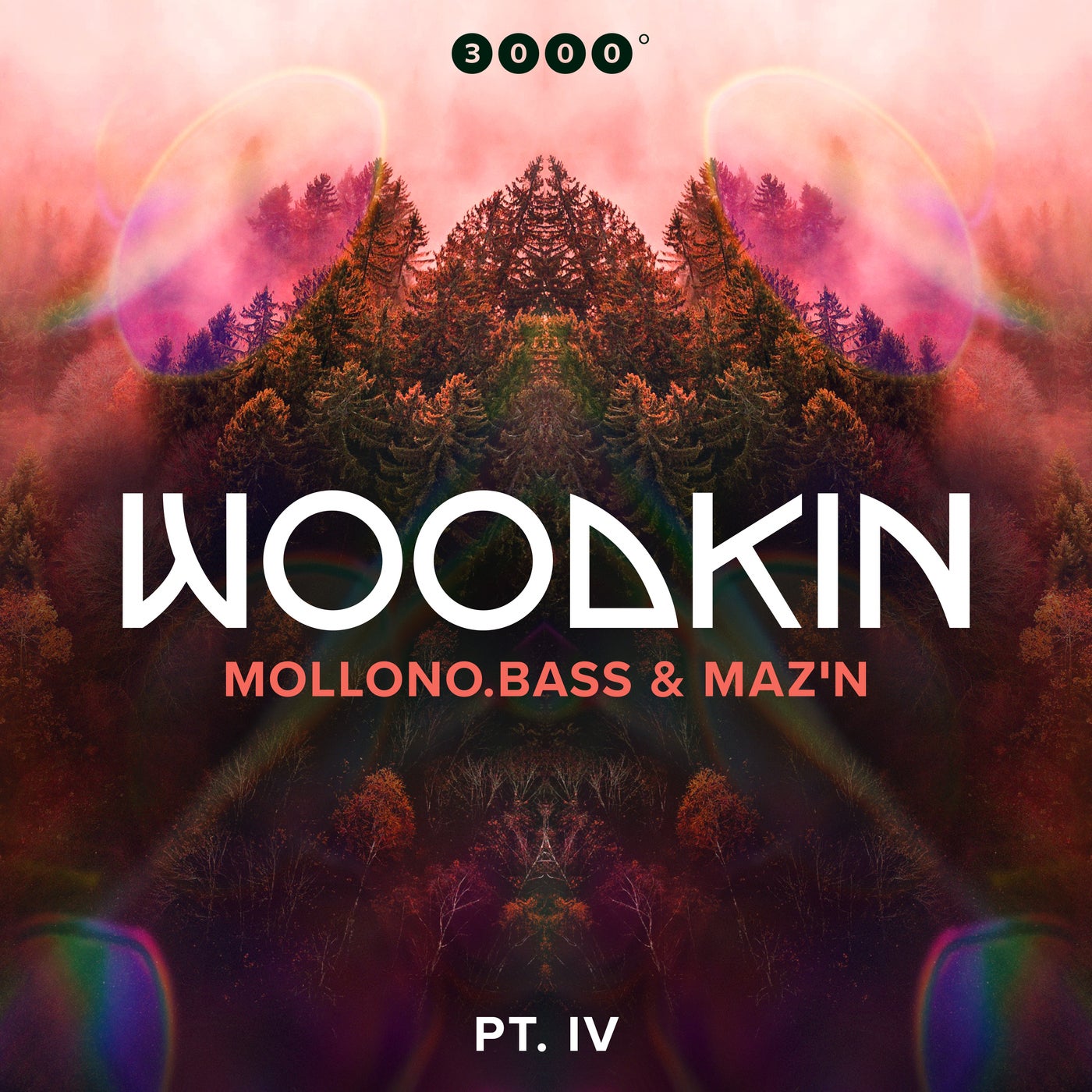 Cover - Mollono.Bass, MAZ'N, WOODKIN - In Your Mind (Original Mix) Promo tools