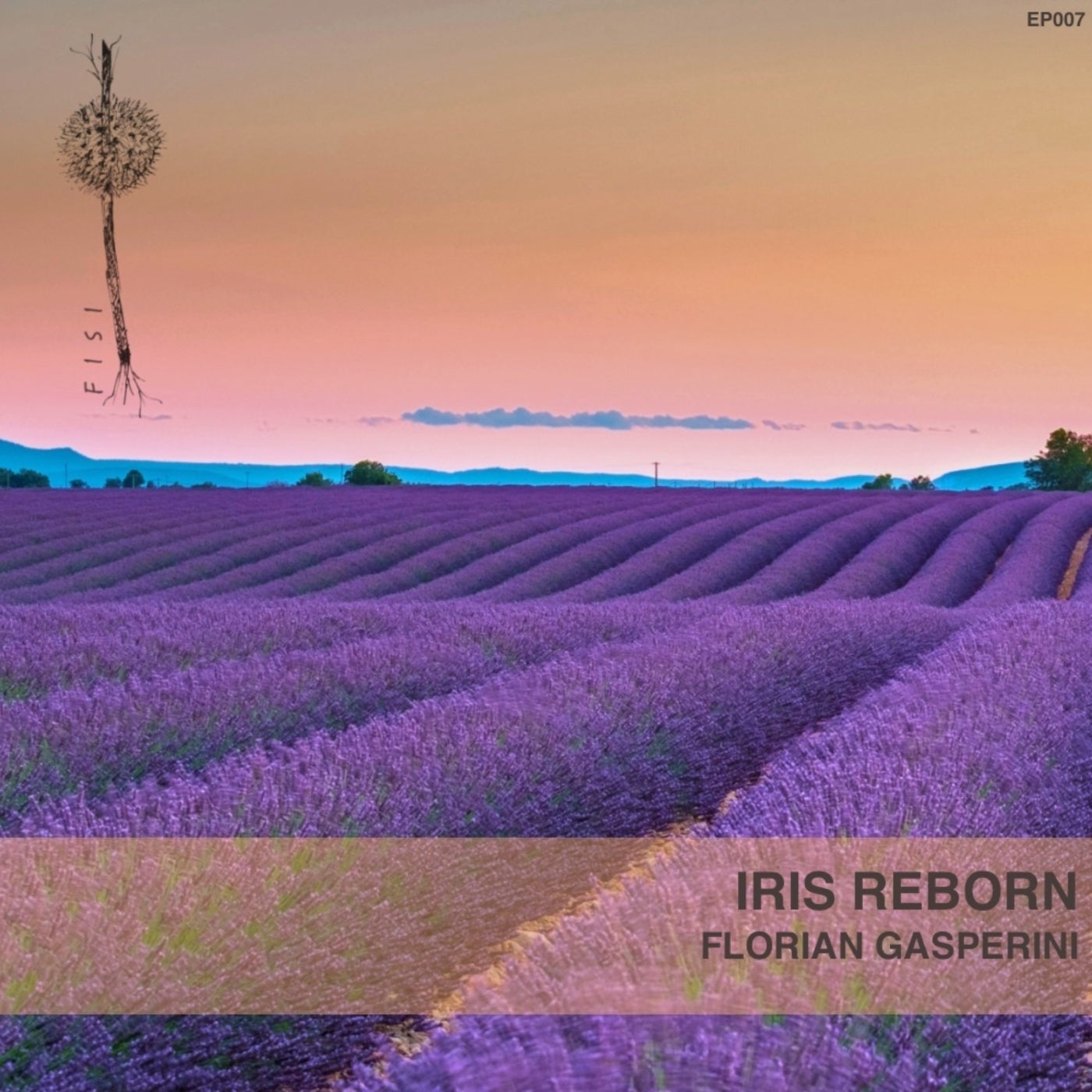 Cover - Florian Gasperini - Iris Reborn (Original Mix) Promo tools