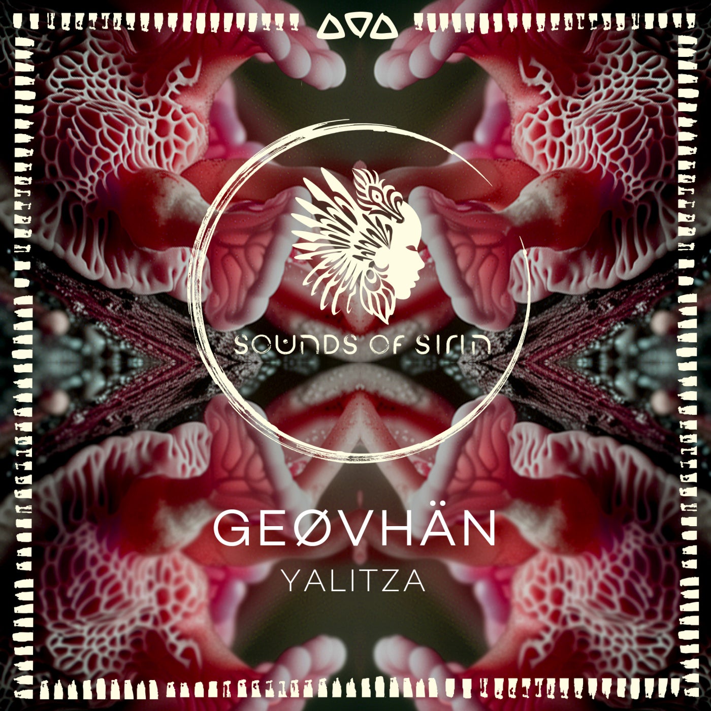 Cover - GEØVHÄN - YALITZA (Extended Mix) Promo tools