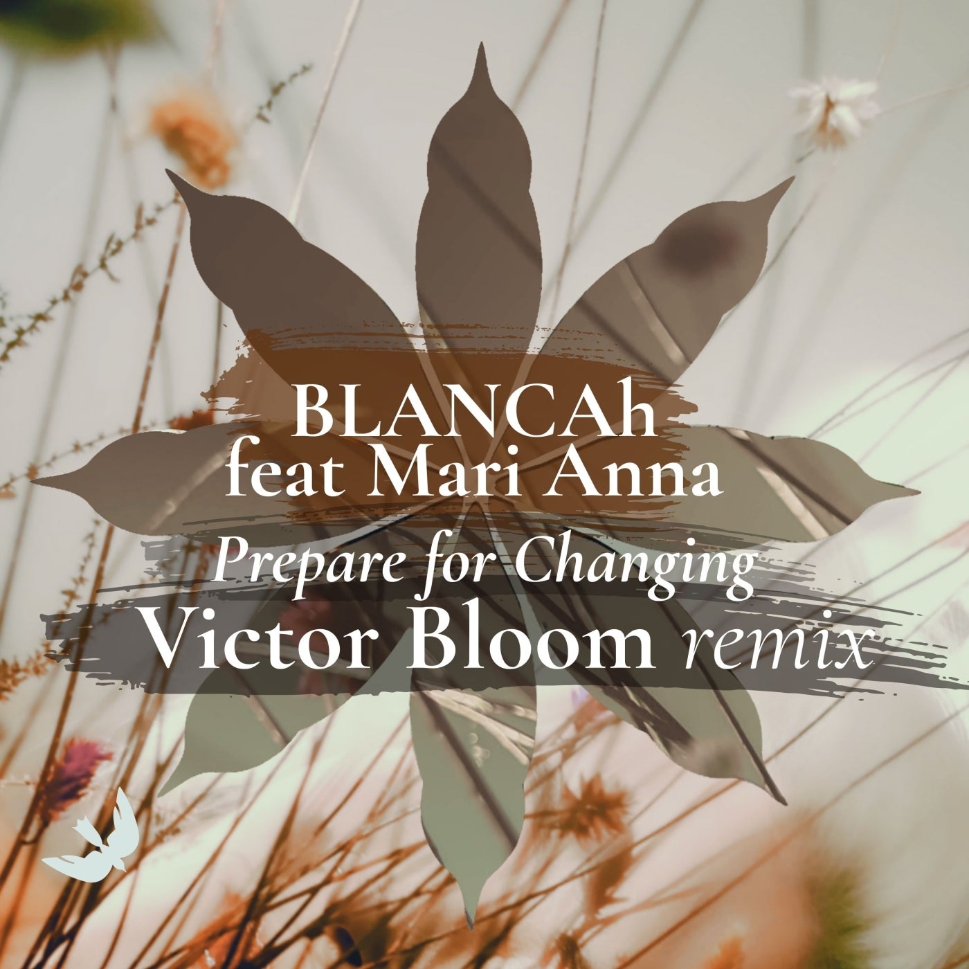 Cover - Blancah, Mari Anna - Prepare for Changing (Victor Bloom Remix) Promo tools